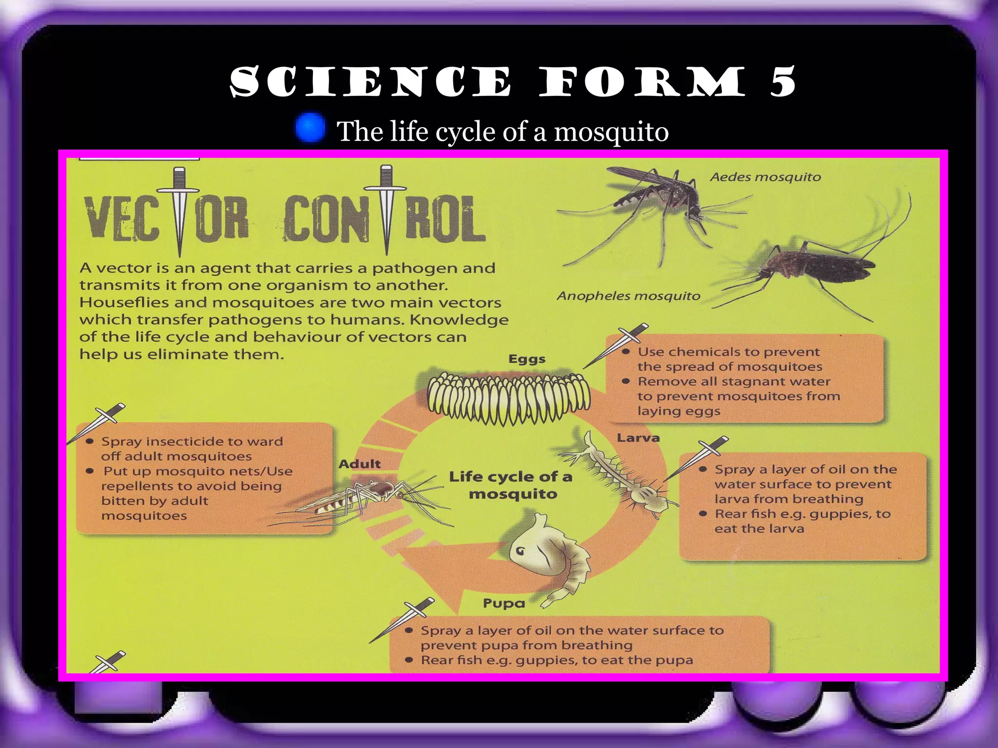 SCIENCE FORM 5
         The lifeThe life a mosquito
                 cycle of




exit
 