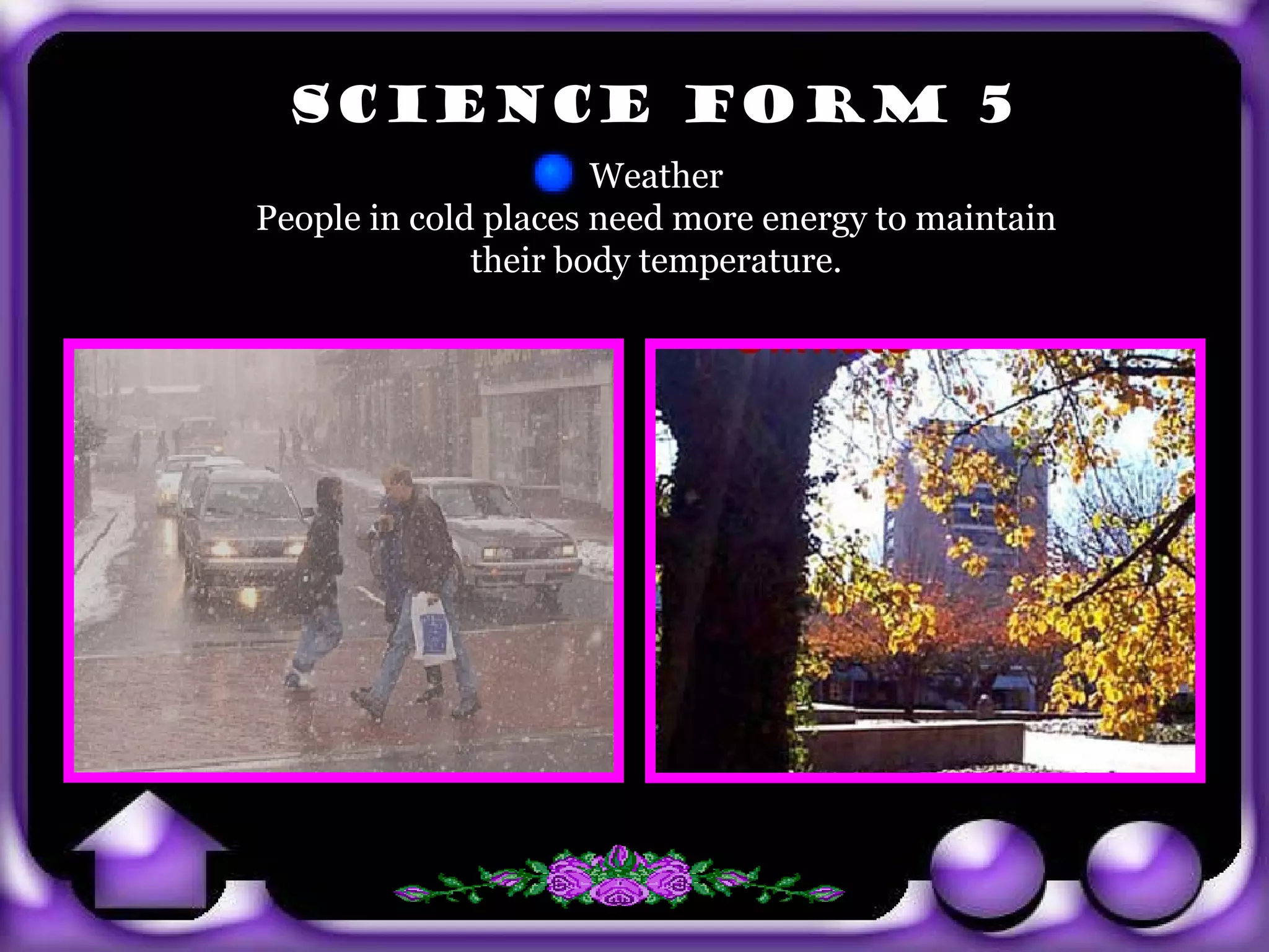 SCIENCE FORM 5
                             Weather
       People in cold places need more energy to maintain
                     their body temperature.




exit
 
