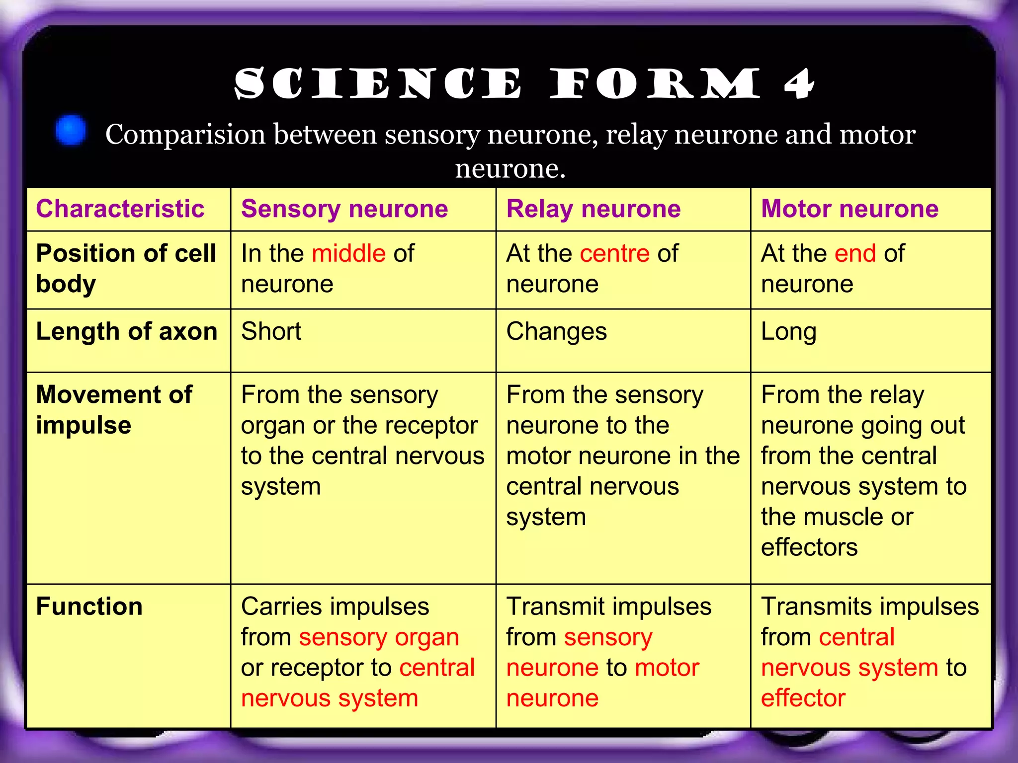 SCIENCE FORM 4
      Comparision between sensory neurone, relay neurone and motor
                               neurone.
Characteristic   Sensory neurone          Relay neurone          Motor neurone
Position of cell In the middle of         At the centre of       At the end of
body             neurone                  neurone                neurone
Length of axon Short                      Changes                Long

Movement of      From the sensory         From the sensory       From the relay
impulse          organ or the receptor    neurone to the         neurone going out
                 to the central nervous   motor neurone in the   from the central
                 system                   central nervous        nervous system to
                                          system                 the muscle or
                                                                 effectors
  exit
Function         Carries impulses         Transmit impulses      Transmits impulses
                 from sensory organ       from sensory           from central
                 or receptor to central   neurone to motor       nervous system to
                 nervous system           neurone                effector
 