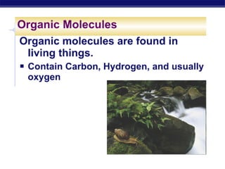 Notes biochemistry2010