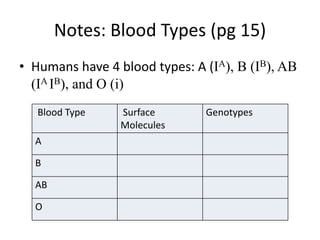 Notes: Blood Types (pg 15)
• Humans have 4 blood types: A (IA), B (IB), AB
  (IA IB), and O (i)
   Blood Type    Surface       Genotypes
                 Molecules
  A

  B

  AB

  O
 