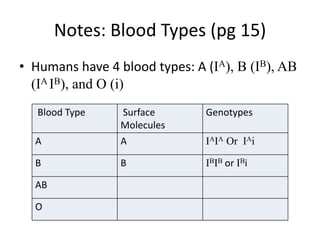 Notes: Blood Types (pg 15)
• Humans have 4 blood types: A (IA), B (IB), AB
  (IA IB), and O (i)
   Blood Type    Surface       Genotypes
                 Molecules
  A              A             IAIA Or IAi

  B              B             IBIB or IBi

  AB

  O
 