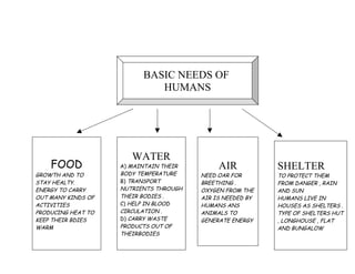 BASIC NEEDS OF
                             HUMANS




                       WATER
    FOOD            A) MAINTAIN THEIR        AIR           SHELTER
GROWTH AND TO       BODY TEMPERATURE    NEED OAR FOR       TO PROTECT THEM
STAY HEALTY.        B) TRANSPORT        BREETHING .        FROM DANGER , RAIN
ENERGY TO CARRY     NUTRIENTS THROUGH   OXYGEN FROM THE    AND SUN
OUT MANY KINDS OF   THEIR BODIES .      AIR IS NEEDED BY   HUMANS LIVE IN
ACTIVITIES          C) HELP IN BLOOD    HUMANS ANS         HOUSES AS SHELTERS .
PRODUCING HEAT TO   CIRCULATION .       ANIMALS TO         TYPE OF SHELTERS HUT
KEEP THEIR BDIES    D) CARRY WASTE      GENERATE ENERGY    , LONGHOUSE , FLAT
WARM                PRODUCTS OUT OF                        AND BUNGALOW
                    THEIRBODIES
 