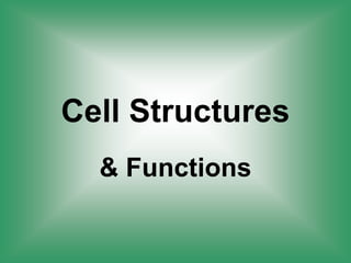 Notes Cell Structure and Function.slide share pdf | PDF