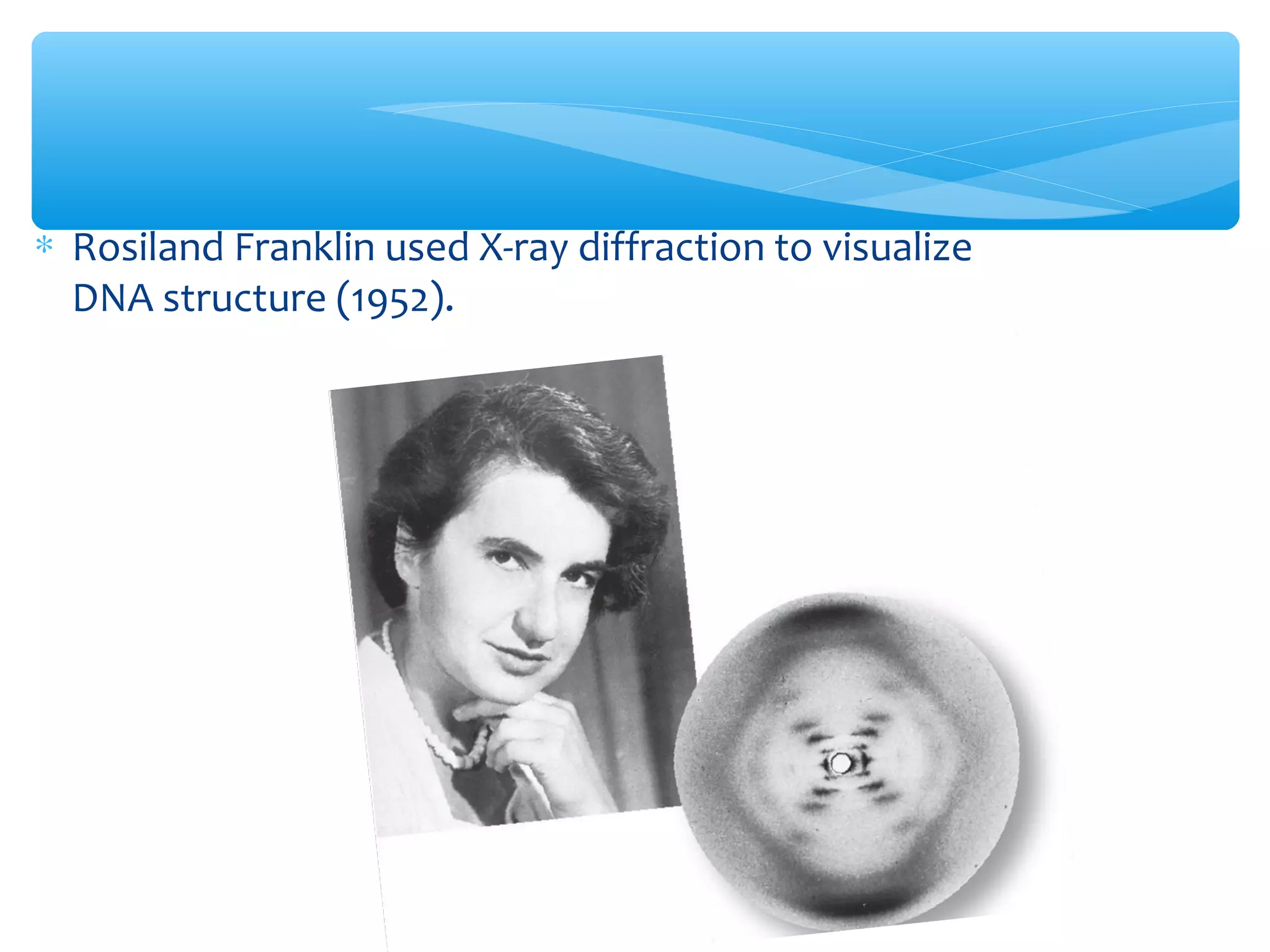 ∗ Rosiland Franklin used X-ray diffraction to visualize
DNA structure (1952).
 