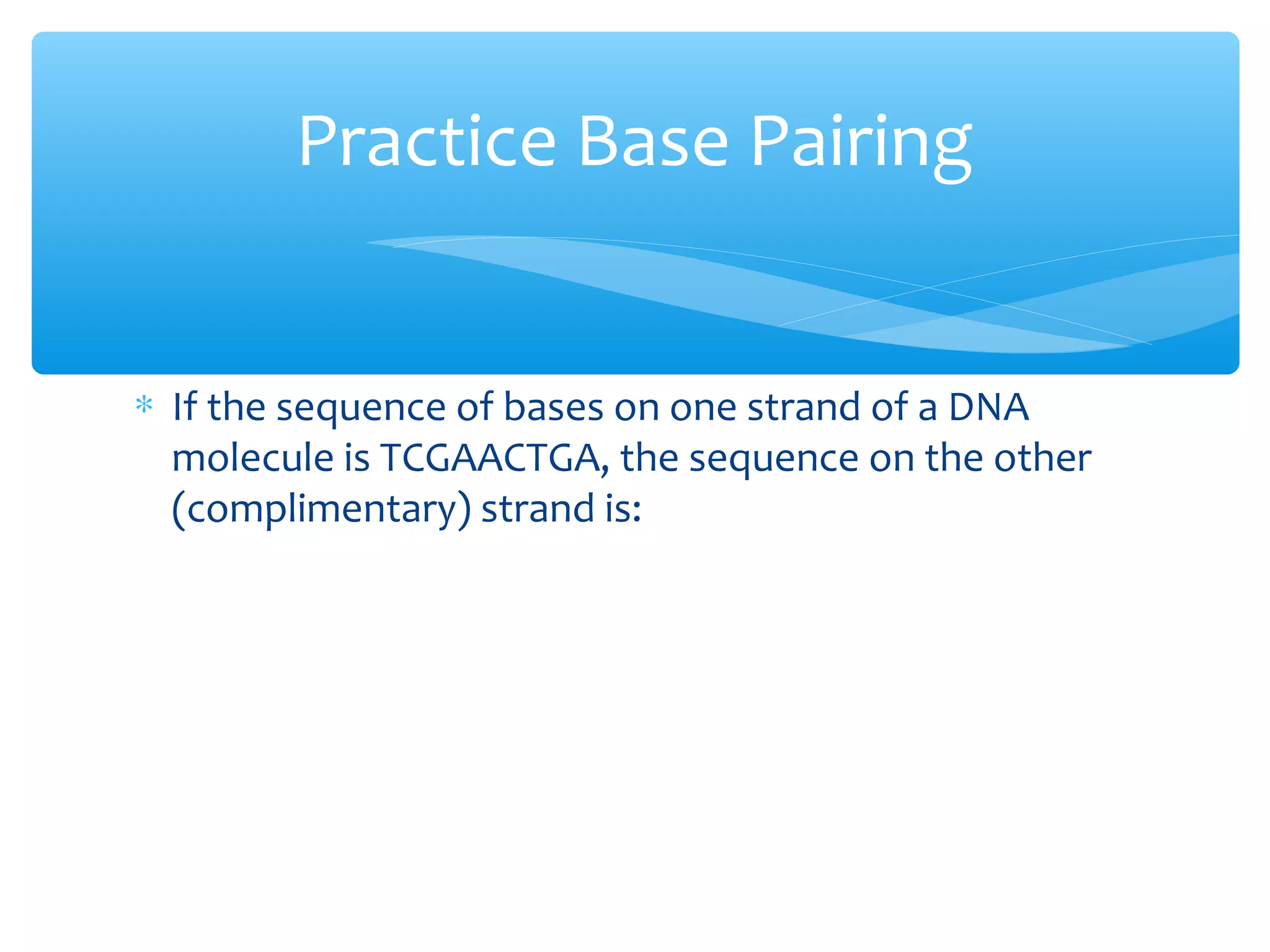 ∗ If the sequence of bases on one strand of a DNA
molecule is TCGAACTGA, the sequence on the other
(complimentary) strand is:
Practice Base Pairing
 