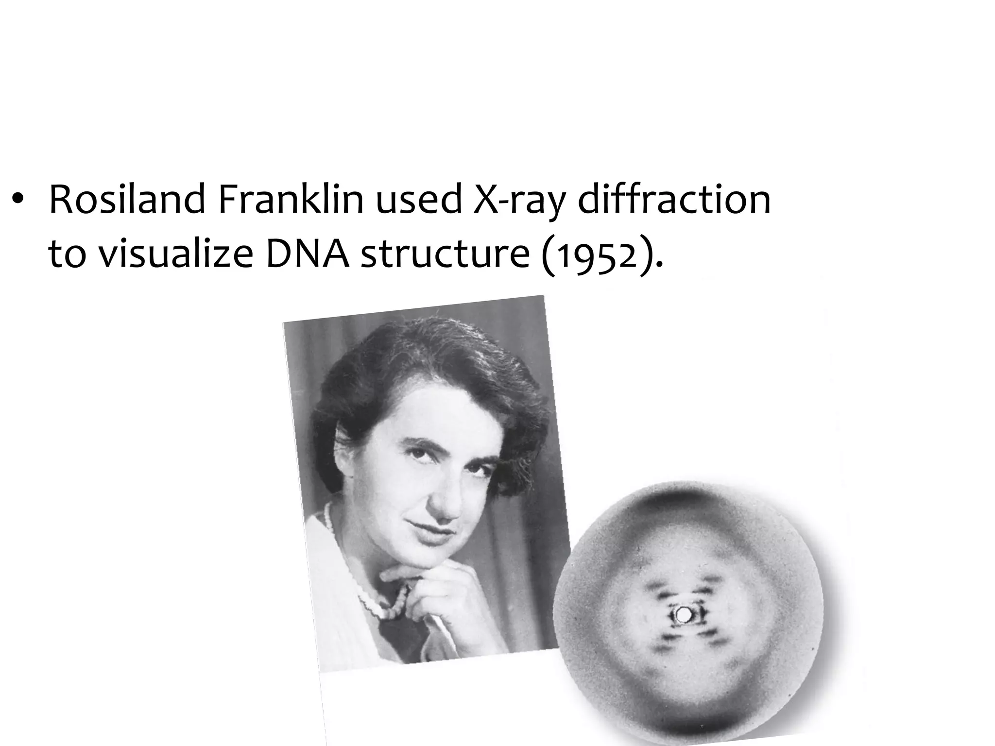 • Rosiland Franklin used X-ray diffraction
to visualize DNA structure (1952).
 