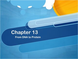 Chapter 13
From DNA to Protein
 