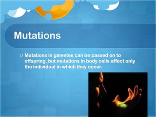 Mutations
Mutations in gametes can be passed on to
offspring, but mutations in body cells affect only
the individual in which they occur.
 