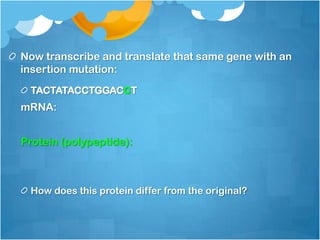 Now transcribe and translate that same gene with an
insertion mutation:
TACTATACCTGGACCT
mRNA:
Protein (polypeptide):
How does this protein differ from the original?
 