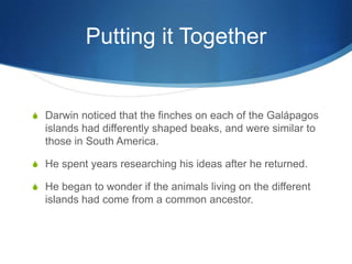 Putting it Together
S Darwin noticed that the finches on each of the Galápagos
islands had differently shaped beaks, and were similar to
those in South America.
S He spent years researching his ideas after he returned.
S He began to wonder if the animals living on the different
islands had come from a common ancestor.
 