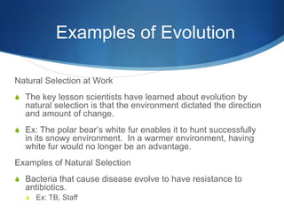 Examples of Evolution
Natural Selection at Work
S The key lesson scientists have learned about evolution by
natural selection is that the environment dictated the direction
and amount of change.
S Ex: The polar bear’s white fur enables it to hunt successfully
in its snowy environment. In a warmer environment, having
white fur would no longer be an advantage.
Examples of Natural Selection
S Bacteria that cause disease evolve to have resistance to
antibiotics.
S Ex: TB, Staff
 