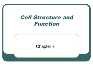 Cell Structure and
Function

Chapter 7

 
