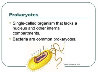 Prokaryotes
 Single-celled

organism that lacks a
nucleus and other internal
compartments.
 Bacteria are common prokaryotes.

Pearson Education inc. 2010

 