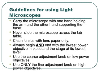 Guidelines for using Light
Microscopes









Carry the microscope with one hand holding
the arm and the other hand supporting the
base.
Never slide the microscope across the lab
table.
Clean lenses with lens paper only.
Always begin AND end with the lowest power
objective in place and the stage at its lowest
level.
Use the coarse adjustment knob on low power
objectives.
Use ONLY the fine adjustment knob on high
power objectives.

 