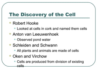 The Discovery of the Cell
 Robert

Hooke

• Looked at cells in cork and named them cells

 Anton

van Leeuwenhoek

• Observed pond water

 Schleiden

and Schwann

• All plants and animals are made of cells

 Oken

and Virchow

• Cells are produced from division of existing
cells

 