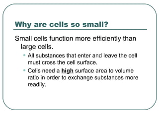 Why are cells so small?
Small cells function more efficiently than
large cells.

• All substances that enter and leave the cell
•

must cross the cell surface.
Cells need a high surface area to volume
ratio in order to exchange substances more
readily.

 