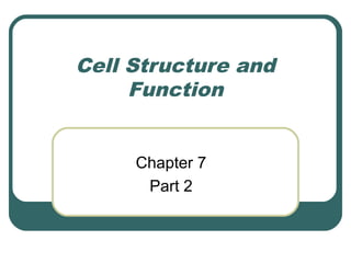 Cell Structure and
Function
Chapter 7
Part 2

 