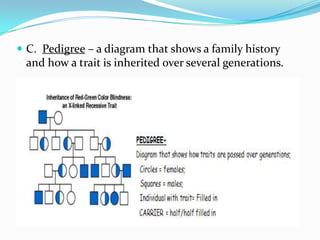  C. Pedigree – a diagram that shows a family history
 and how a trait is inherited over several generations.
 