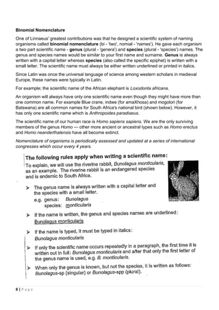 Binomial Nomenclature
One of Linnaeus' greatest contributions was that he designed a scientific system of naming
organisms called binomial nomenclature (bi - 'two', nomial - 'names'). He gave each organism
a two part scientific name - genus (plural - 'genera') and species (plural - 'species') names. The
genus and species names would be similar to your first name and surname. Genus is always
written with a capital letter whereas species (also called the specific epiphet) is written with a
small letter. The scientific name must always be either written underlined or printed in italics.
Since Latin was once the universal language of science among western scholars in medieval
Europe, these names were typically in Latin.
For example; the scientific name of the African elephant is Loxodonta africana.
An organism will always have only one scientific name even though they might have more than
one common name. For example Blue crane, indwe (for amaXhosa) and mogolori (for
Batswana) are all common names for South Africa's national bird (shown below). However, it
has only one scientific name which is Anthropoides paradiseus.
The scientific name of our human race is Homo sapiens sapiens. We are the only surviving
members of the genus Homo — other more ancient or ancestral types such as Homo erectus
and Homo neanderthalensis have all become extinct.
Nomenclature of organisms is periodically assessed and updated at a series of international
congresses which occur every 4 years.
8 | P a g e
 