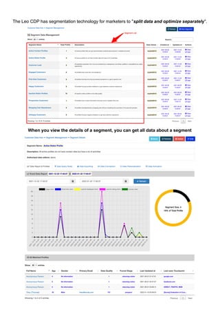 The Leo CDP has segmentation technology for marketers to "split data and optimize separately".
When you view the details of a segment, you can get all data about a segment
 