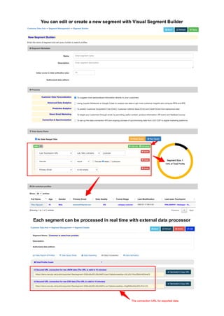 You can edit or create a new segment with Visual Segment Builder
Each segment can be processed in real time with external data processor
 