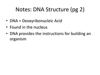 Notes dna structure | PPTX