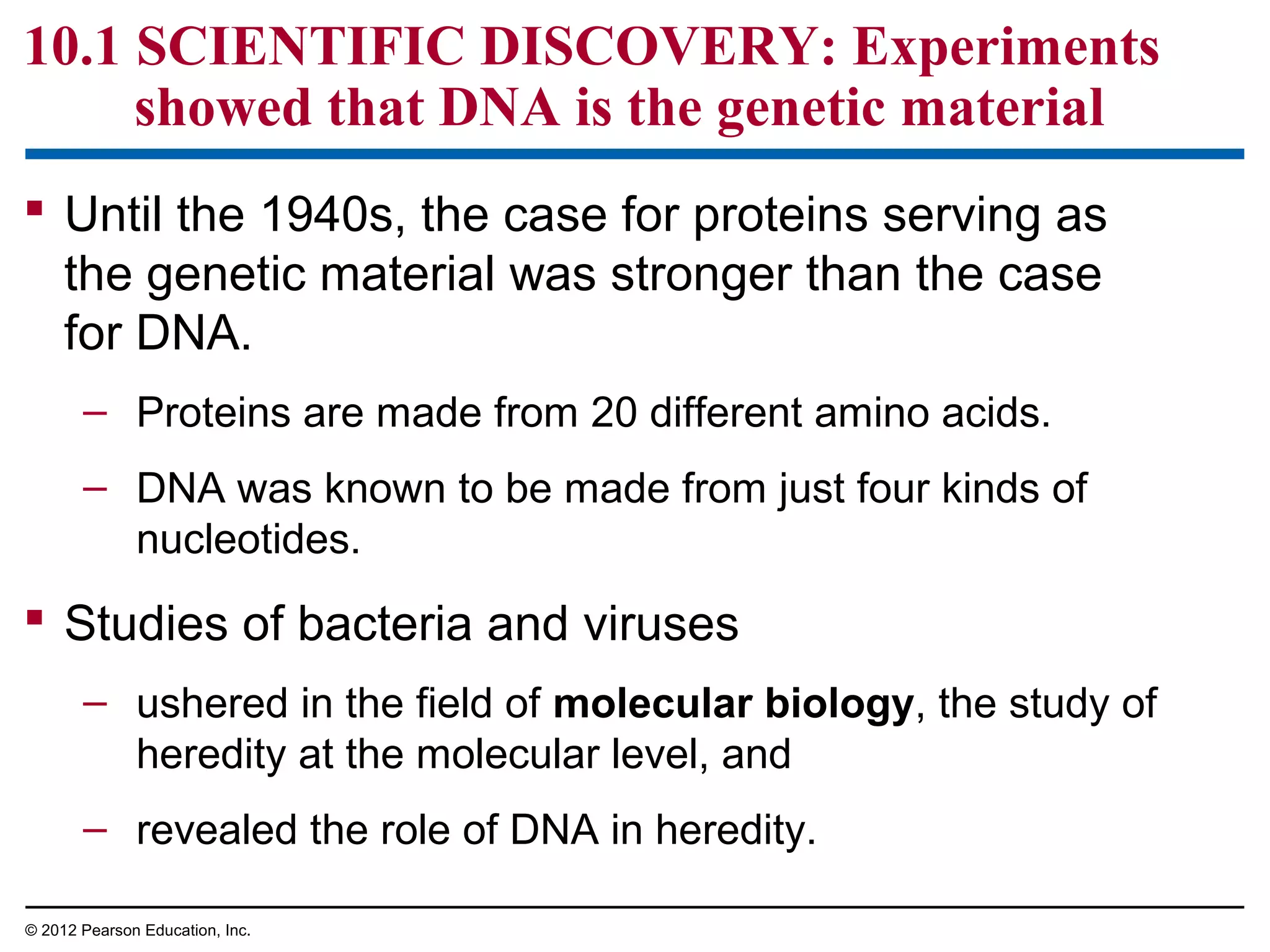 10.1 SCIENTIFIC DISCOVERY: Experiments
showed that DNA is the genetic material
 Until the 1940s, the case for proteins serving as
the genetic material was stronger than the case
for DNA.
– Proteins are made from 20 different amino acids.
– DNA was known to be made from just four kinds of
nucleotides.

 Studies of bacteria and viruses
– ushered in the field of molecular biology, the study of
heredity at the molecular level, and
– revealed the role of DNA in heredity.
© 2012 Pearson Education, Inc.

 