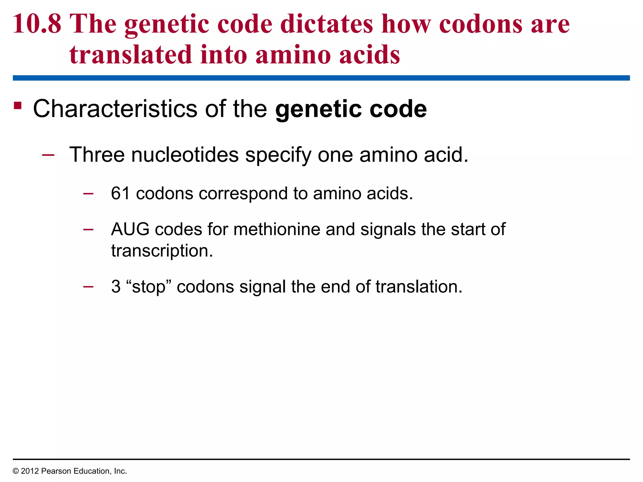10.8 The genetic code dictates how codons are
translated into amino acids
 Characteristics of the genetic code
– Three nucleotides specify one amino acid.
– 61 codons correspond to amino acids.
– AUG codes for methionine and signals the start of
transcription.
– 3 “stop” codons signal the end of translation.

© 2012 Pearson Education, Inc.

 