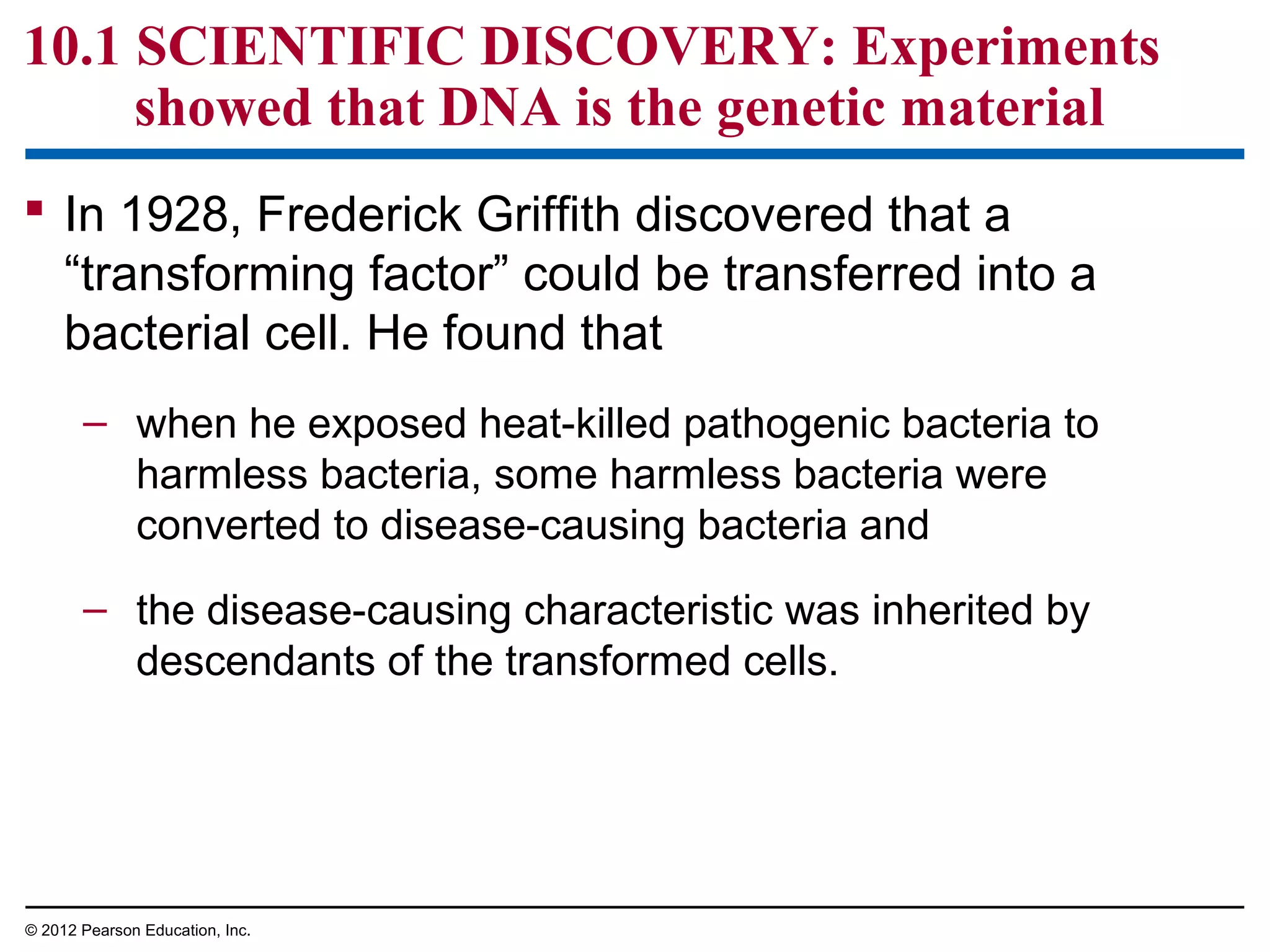 10.1 SCIENTIFIC DISCOVERY: Experiments
showed that DNA is the genetic material
 In 1928, Frederick Griffith discovered that a
“transforming factor” could be transferred into a
bacterial cell. He found that
– when he exposed heat-killed pathogenic bacteria to
harmless bacteria, some harmless bacteria were
converted to disease-causing bacteria and
– the disease-causing characteristic was inherited by
descendants of the transformed cells.

© 2012 Pearson Education, Inc.

 