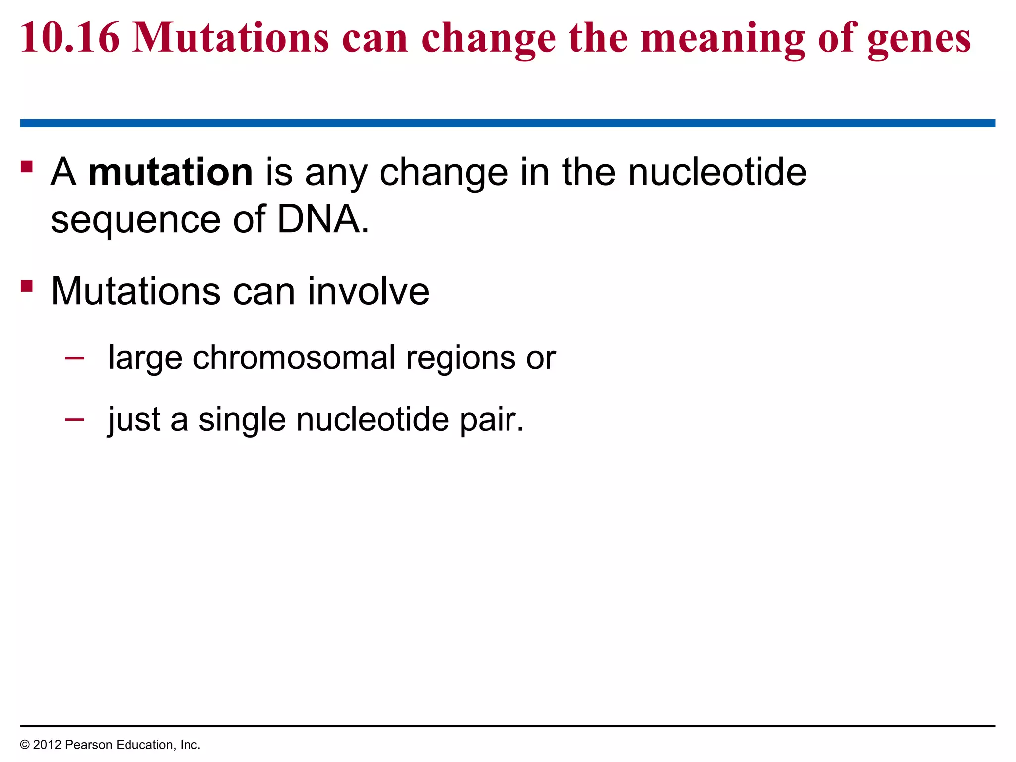 10.16 Mutations can change the meaning of genes
 A mutation is any change in the nucleotide
sequence of DNA.
 Mutations can involve
– large chromosomal regions or
– just a single nucleotide pair.

© 2012 Pearson Education, Inc.

 