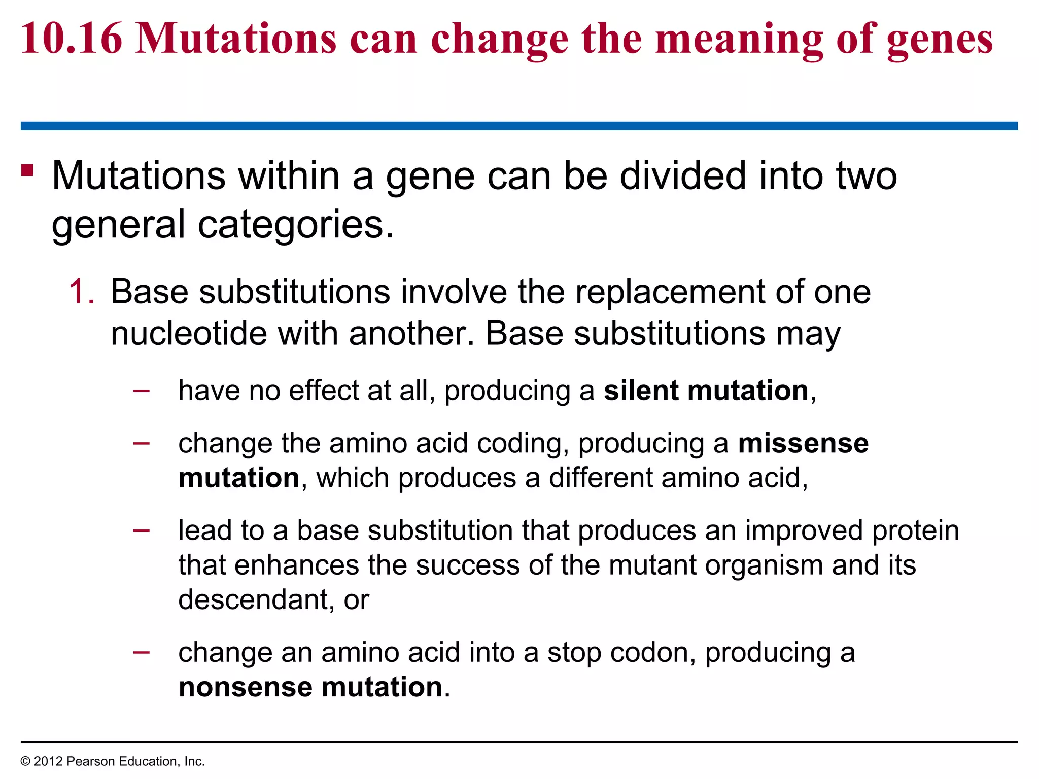 10.16 Mutations can change the meaning of genes
 Mutations within a gene can be divided into two
general categories.
1. Base substitutions involve the replacement of one
nucleotide with another. Base substitutions may
– have no effect at all, producing a silent mutation,
– change the amino acid coding, producing a missense
mutation, which produces a different amino acid,
– lead to a base substitution that produces an improved protein
that enhances the success of the mutant organism and its
descendant, or
– change an amino acid into a stop codon, producing a
nonsense mutation.
© 2012 Pearson Education, Inc.

 
