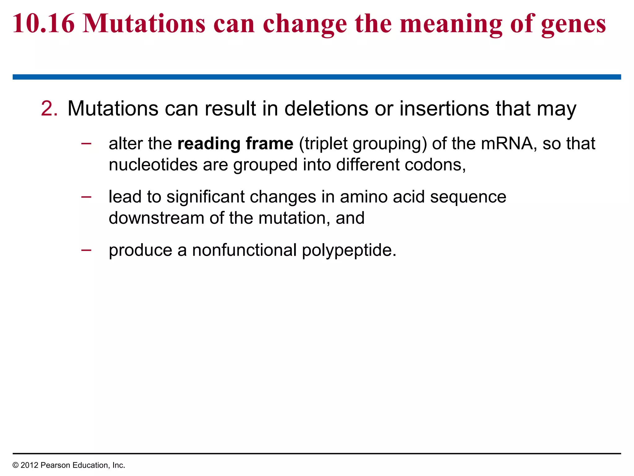 10.16 Mutations can change the meaning of genes
2. Mutations can result in deletions or insertions that may
– alter the reading frame (triplet grouping) of the mRNA, so that
nucleotides are grouped into different codons,
– lead to significant changes in amino acid sequence
downstream of the mutation, and
– produce a nonfunctional polypeptide.

© 2012 Pearson Education, Inc.

 