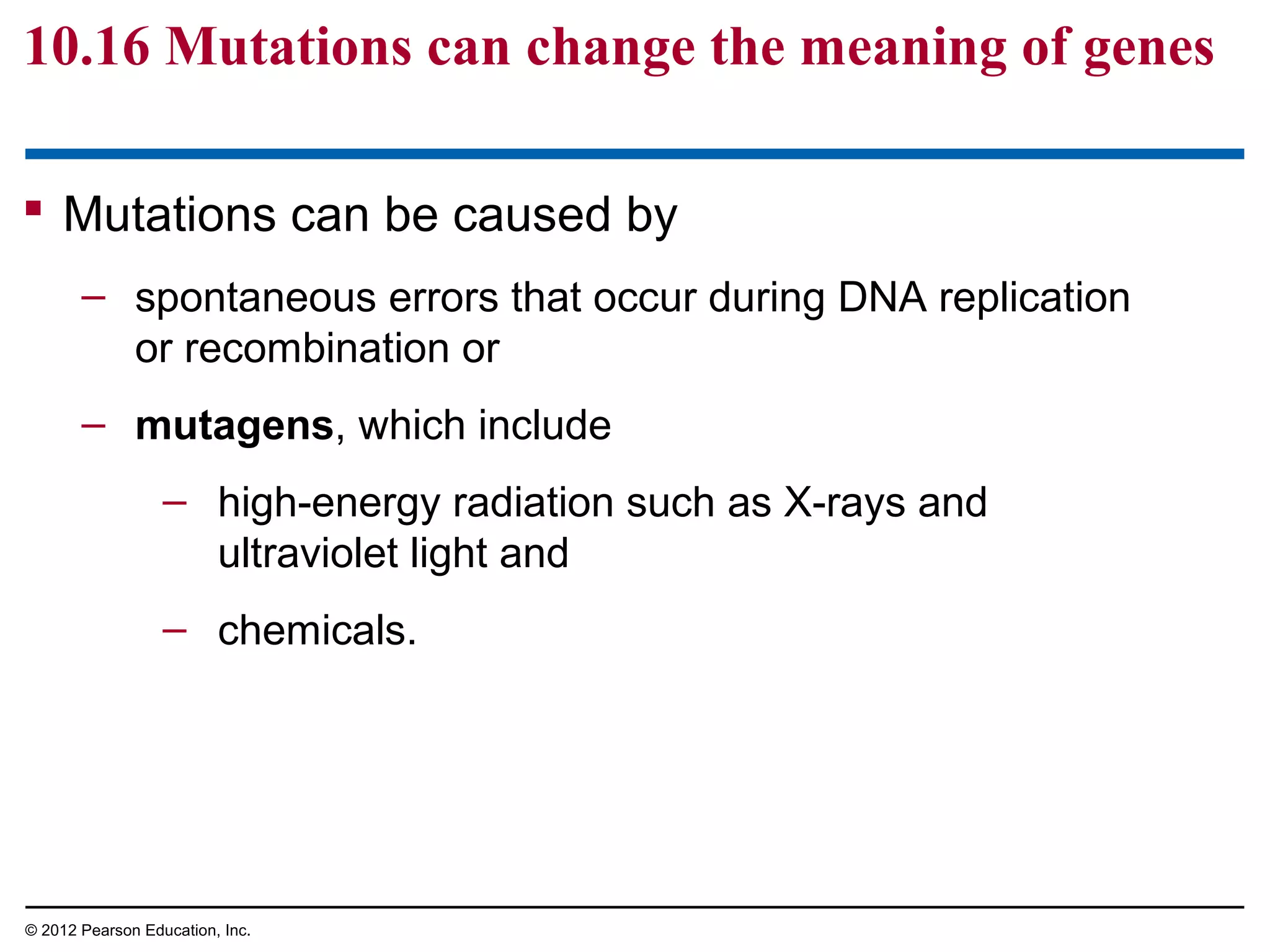 10.16 Mutations can change the meaning of genes
 Mutations can be caused by
– spontaneous errors that occur during DNA replication
or recombination or
– mutagens, which include
– high-energy radiation such as X-rays and
ultraviolet light and
– chemicals.

© 2012 Pearson Education, Inc.

 