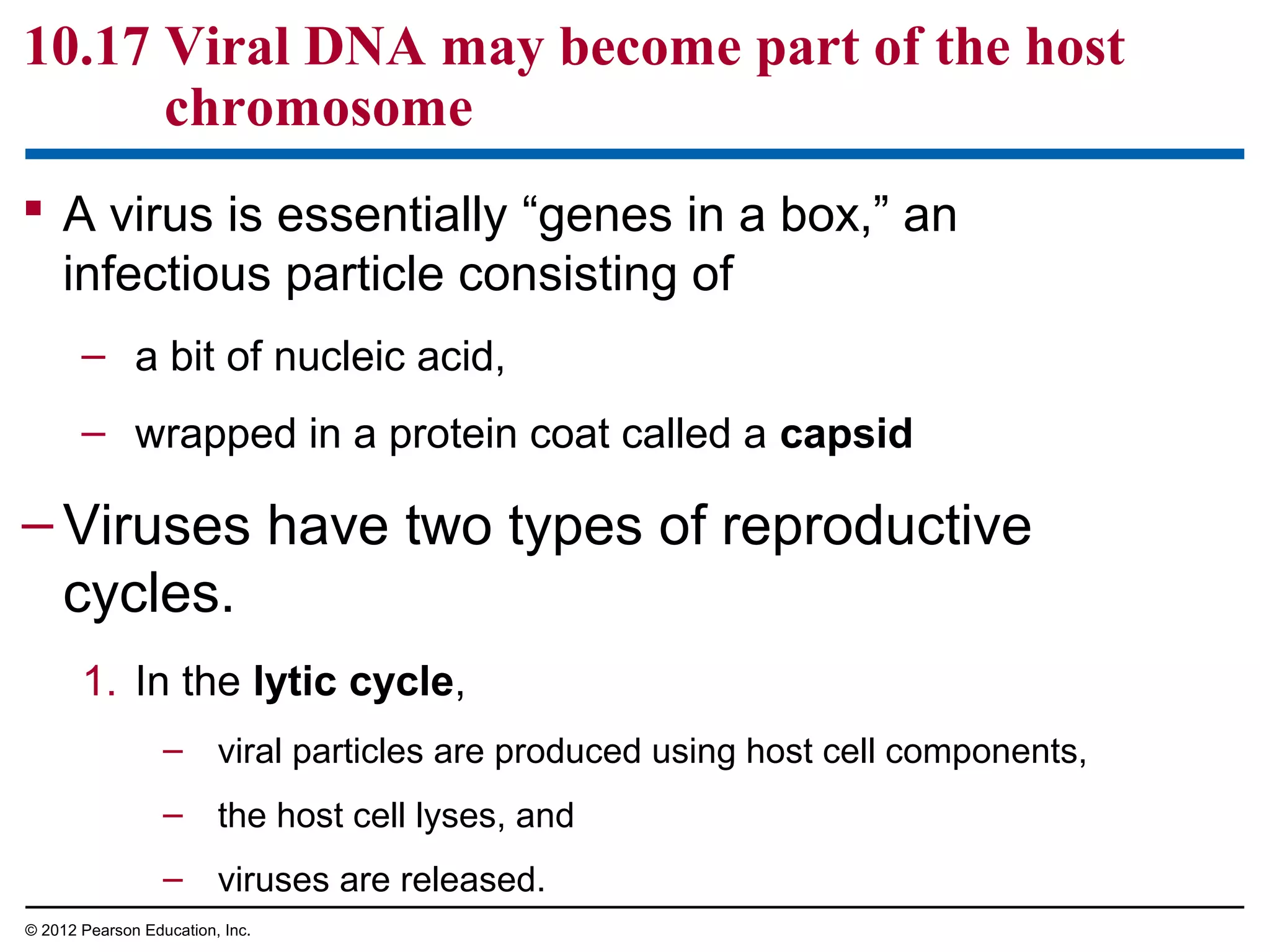 10.17 Viral DNA may become part of the host
chromosome
 A virus is essentially “genes in a box,” an
infectious particle consisting of
– a bit of nucleic acid,
– wrapped in a protein coat called a capsid

– Viruses have two types of reproductive
cycles.
1. In the lytic cycle,
– viral particles are produced using host cell components,
– the host cell lyses, and
– viruses are released.
© 2012 Pearson Education, Inc.

 