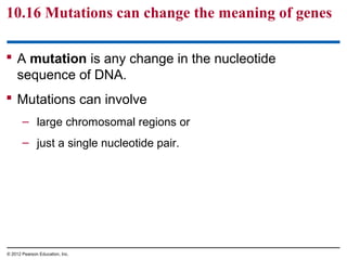 Futation Meaning Ch 10 Notes for website | PPT