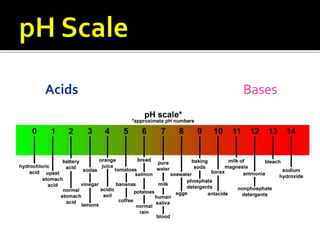 Acids Bases
 