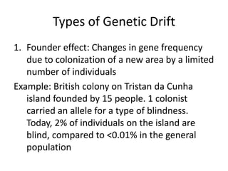 Types of Genetic Drift
1. Founder effect: Changes in gene frequency
due to colonization of a new area by a limited
number of individuals
Example: British colony on Tristan da Cunha
island founded by 15 people. 1 colonist
carried an allele for a type of blindness.
Today, 2% of individuals on the island are
blind, compared to <0.01% in the general
population
 