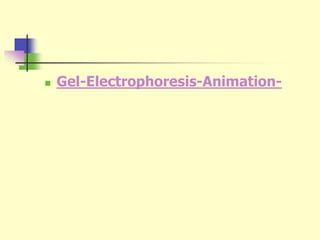  Gel-Electrophoresis-Animation-
 