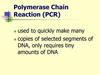 Polymerase Chain
Reaction (PCR)
 used to quickly make many
 copies of selected segments of
DNA, only requires tiny
amounts of DNA
 