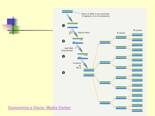 Conceiving a Clone: Media Center
 