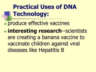 Practical Uses of DNA
Technology:
 produce effective vaccines
 interesting research--scientists
are creating a banana vaccine to
vaccinate children against viral
diseases like Hepatitis B
 