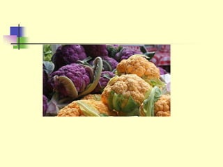 Notes_Genetic_Technology in biology a/as level