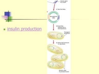  insulin production
 