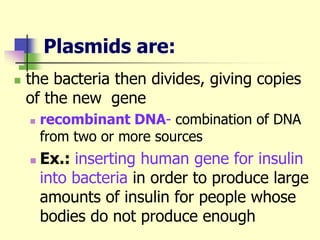 Plasmids are:
 the bacteria then divides, giving copies
of the new gene
 recombinant DNA- combination of DNA
from two or more sources
 Ex.: inserting human gene for insulin
into bacteria in order to produce large
amounts of insulin for people whose
bodies do not produce enough
 