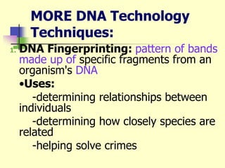 MORE DNA Technology
Techniques:
1. DNA Fingerprinting: pattern of bands
made up of specific fragments from an
organism's DNA
•Uses:
-determining relationships between
individuals
-determining how closely species are
related
-helping solve crimes
 