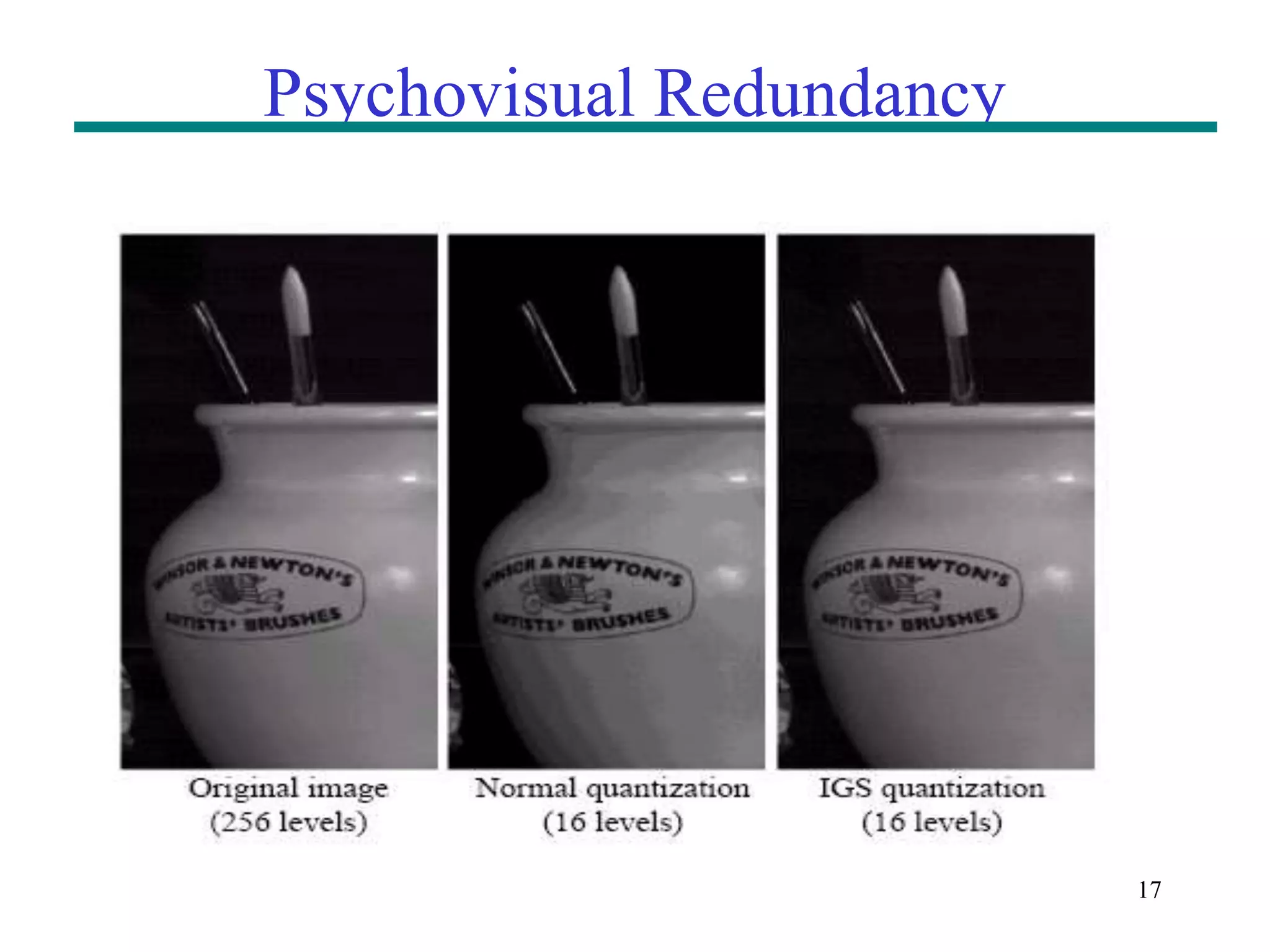 17 Psychovisual Redundancy 