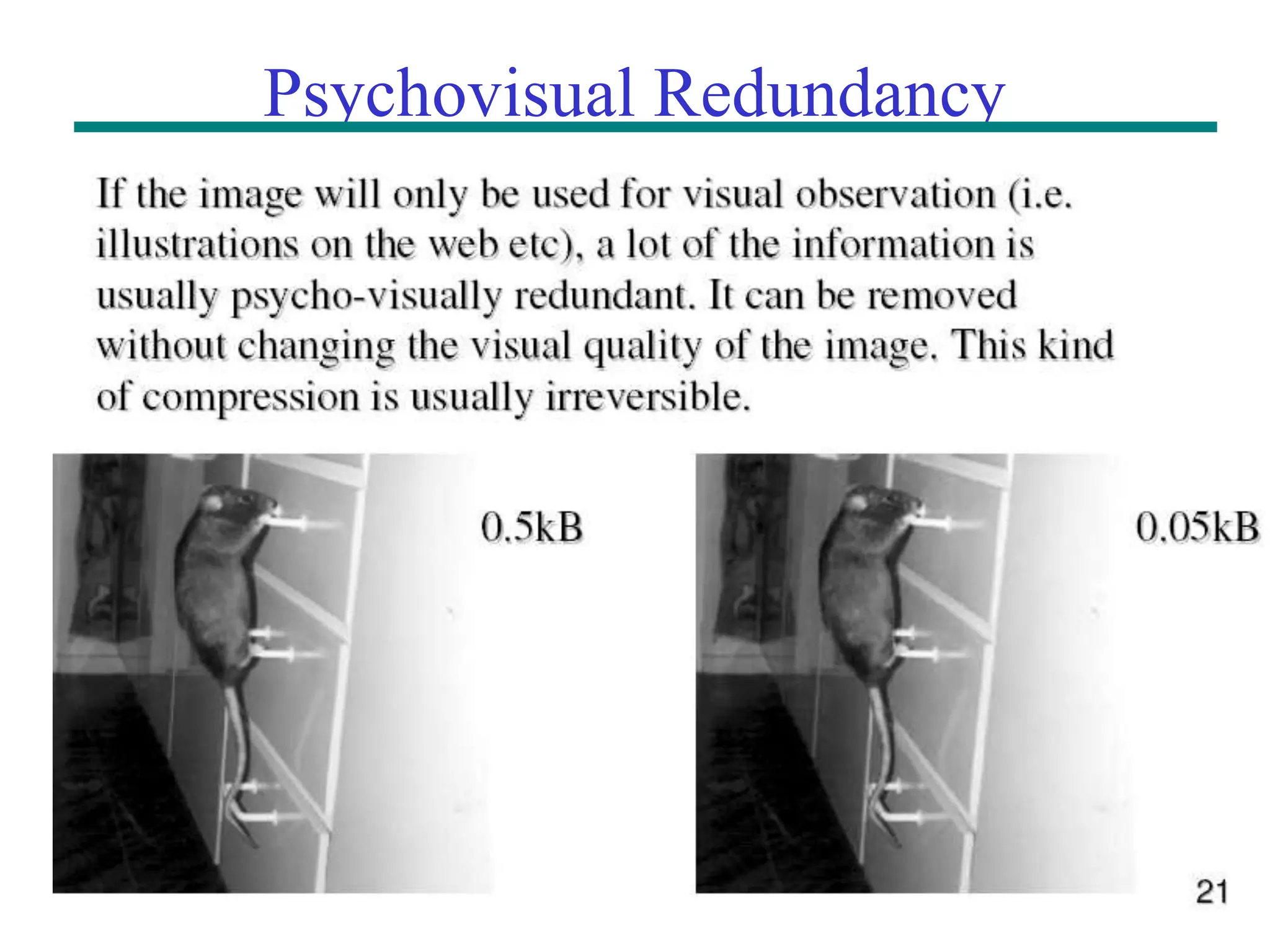 18 Psychovisual Redundancy 