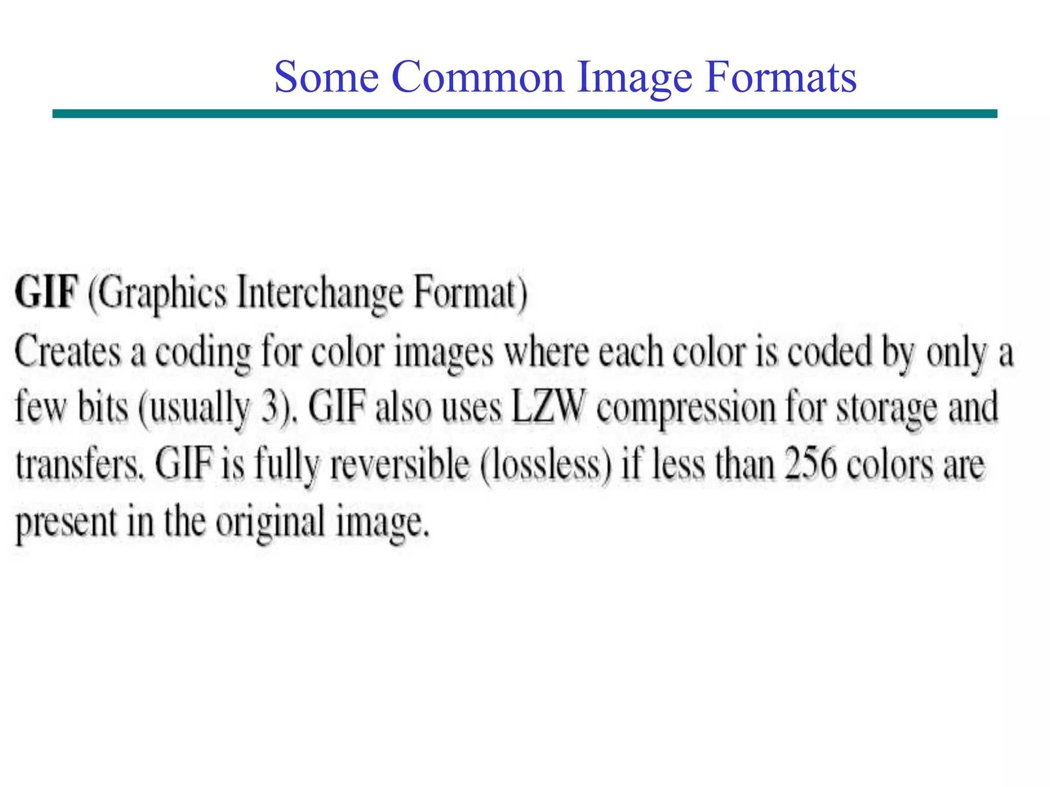 Some Common Image Formats 