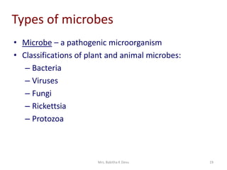 Mrs. Babitha K Devu 19
Types of microbes
• Microbe – a pathogenic microorganism
• Classifications of plant and animal microbes:
– Bacteria
– Viruses
– Fungi
– Rickettsia
– Protozoa
 